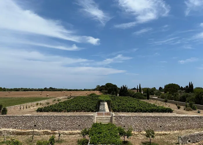 Villa Agricola Bellisario Ospitalita Rurale Melendugno